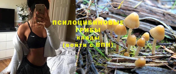 дурь Алексин