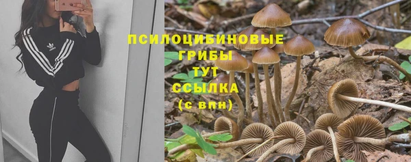 дурь Алексин