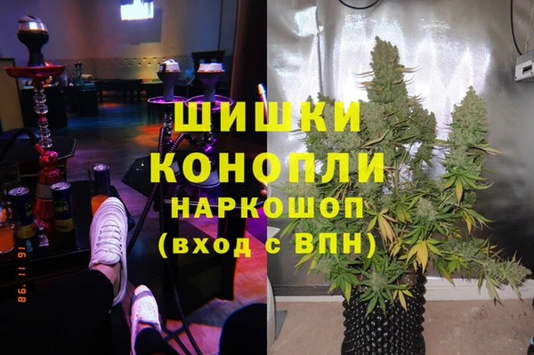 прущие крисы Алзамай