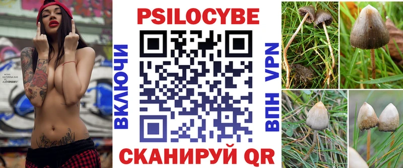 Псилоцибиновые грибы мицелий  хочу   Белореченск 